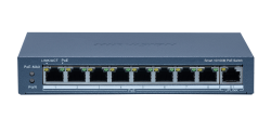 DS-3E1309P-EI(B)
