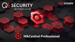 HikCentral-P-Service